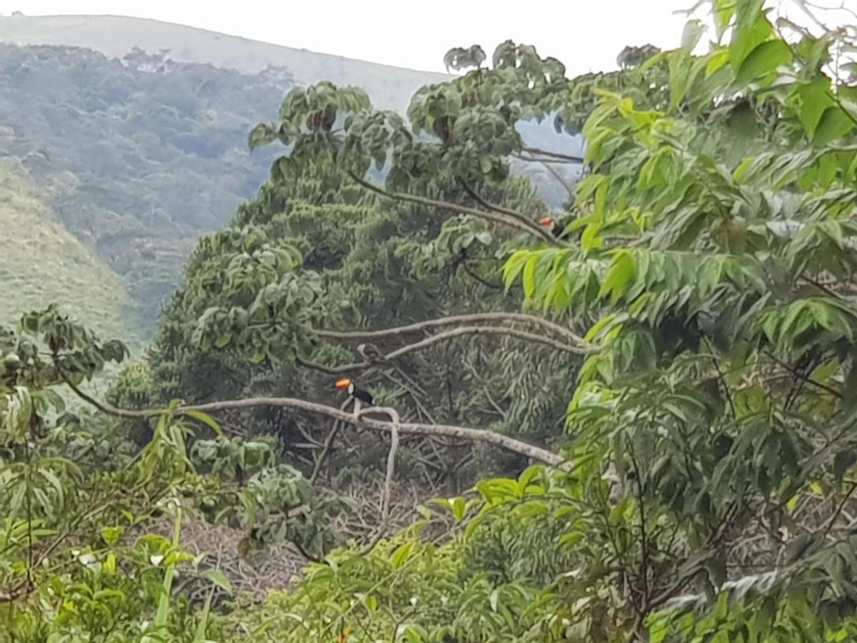 Vale Das Maritacas Teresopolis Teresópolis Exterior foto