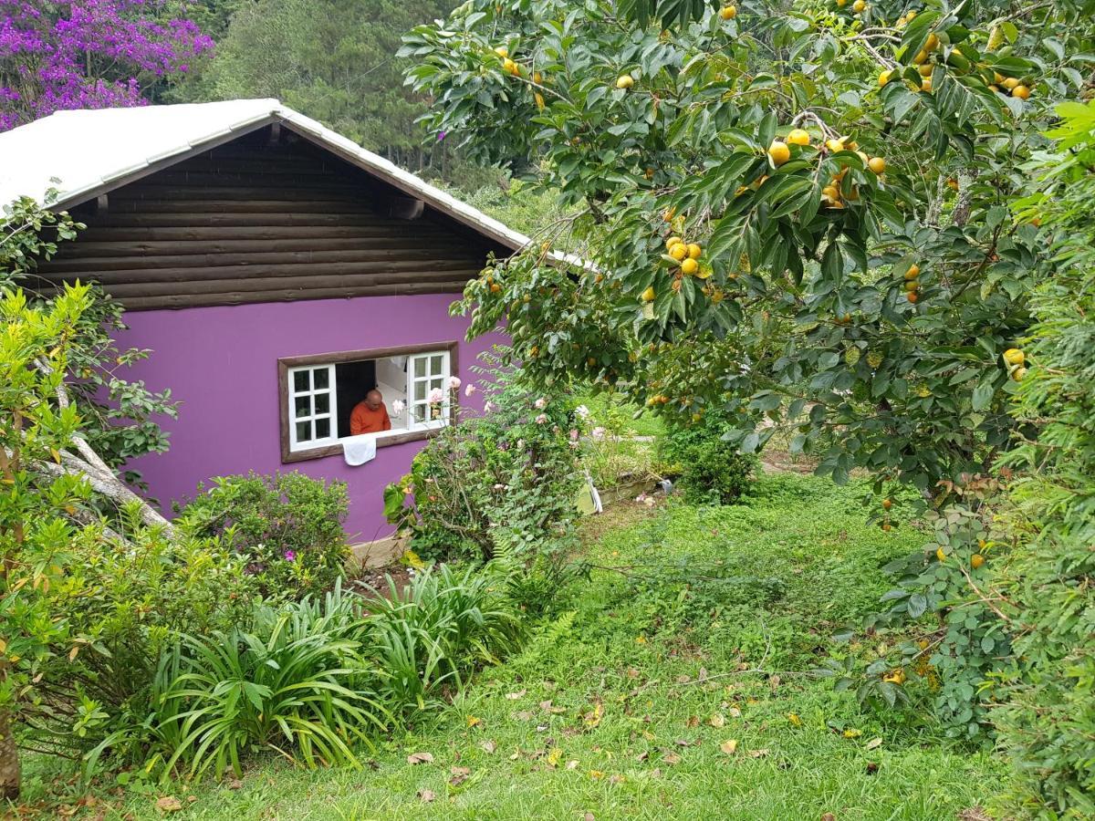 Vale Das Maritacas Teresopolis Teresópolis Exterior foto