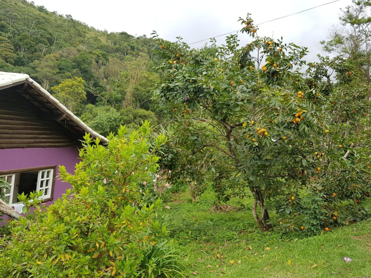 Vale Das Maritacas Teresopolis Teresópolis Exterior foto